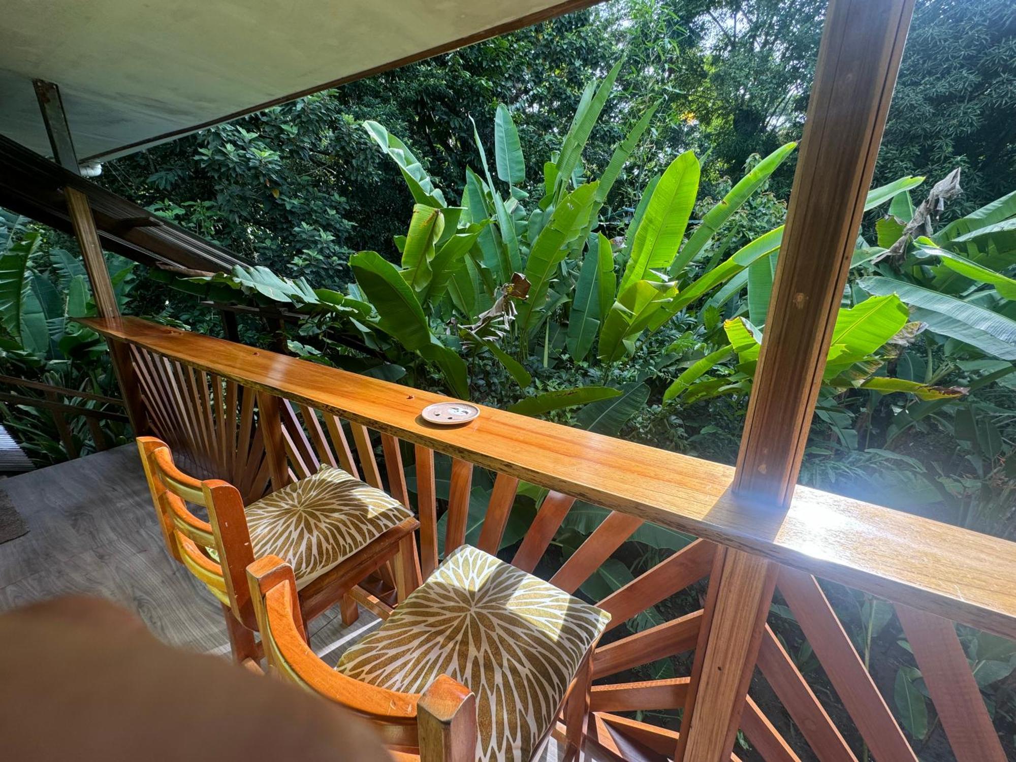 Chilamate Room 2 Tortuguero Eksteriør bilde
